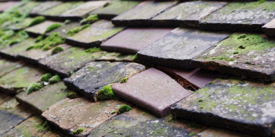 Mansfield roof repair costs